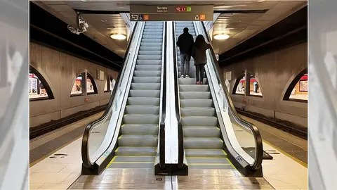 Foto de Rodal&iacute;es