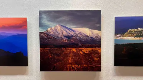 Exposici&oacute;n-Fernando-Alvira-7