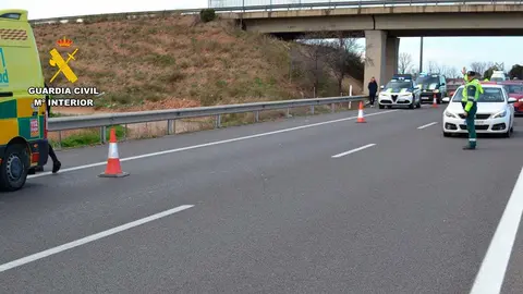El atropello se produjo el pasado 25 de enero en la autov&iacute;a A-68, a la altura del kil&oacute;metro 251, cerca de Utebo. Fuente: Guardia Civil Zaragoza