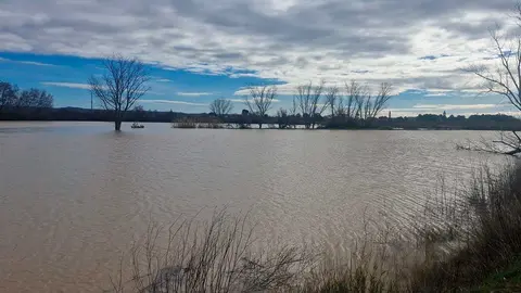El Ebro desbordado en una huerta en Pina de Ebro. Foto: Ayto Pina