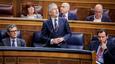 Fernando Grande-Marlaska en una intervenci&oacute;n en el Congreso | Foto del Congreso de los Diputados