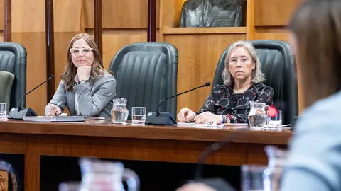 ayuntamiento