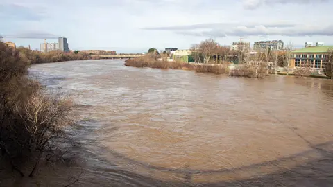 crecida ebro viernes 20  20022026-5