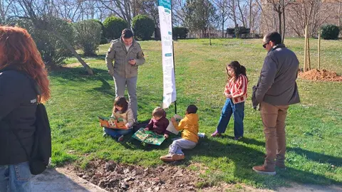 parquebruil5