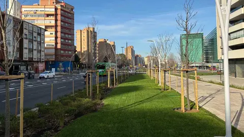La nueva avenida de Navarra tendr&aacute; m&aacute;s zonas verdes. Foto: Arag&oacute;n Press. Guillermo Pem&aacute;n