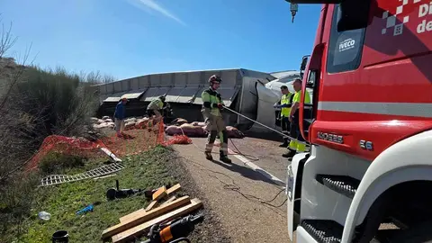 Un accidente en la N-211 a la altura de Alca&ntilde;iz (Teruel) entre un coche y un cami&oacute;n cargado de cerdos ha dejado dos heridos. Fuente: DPT