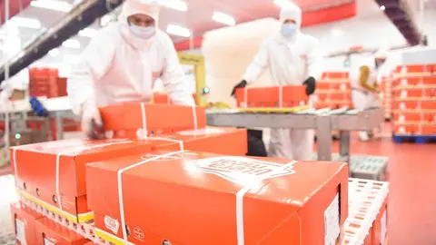 Trabajadores-Litera-Meat