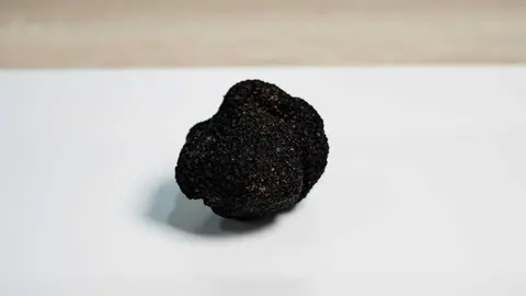 trufa-2
