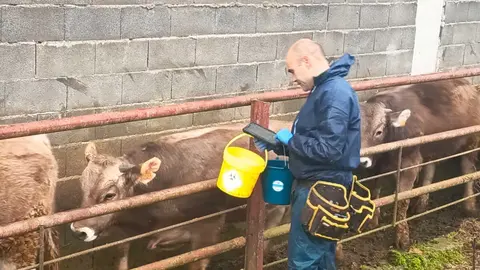 Arag&oacute;n culmina la vacunaci&oacute;n de 18.600 reses en la OCA de Bolta&ntilde;a frente a la DNC. Foto: Departamento de Agricultura, Ganader&iacute;a y Alimentaci&oacute;n