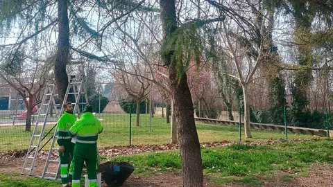 Foto: Ayuntamiento de Calatayud