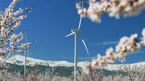 Parque e&oacute;lico de Iberdrola en primavera en Andaluc&iacute;a. Foto: Iberdrola
