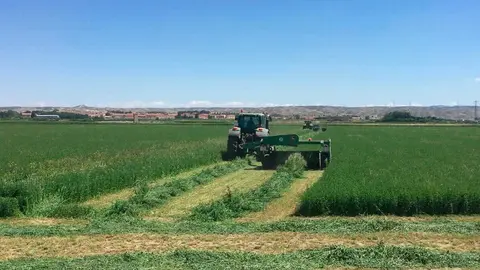 COAG explica que Espa&ntilde;a no depende de los pa&iacute;ses del Golfo P&eacute;rsico para importar urea y crudo | Foto: Arag&oacute;n Press
