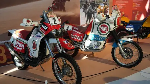Reinas del Desierto 8