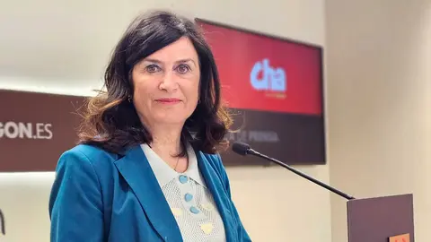 Isabel Lasobras, en rueda de prensa en las Cortes de Arag&oacute;n | Foto: CHA