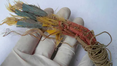 PLUMAS