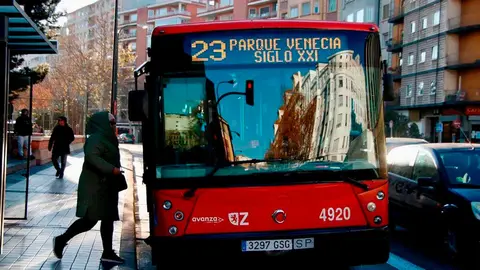 linea-23