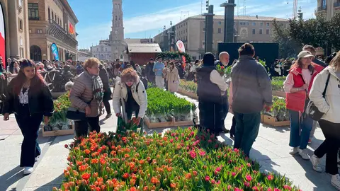 Hola-Primavera-1