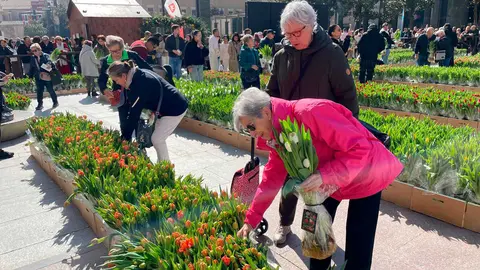 Hola-Primavera-2