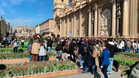 Hola-Primavera-3