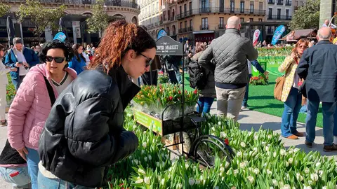 Hola-Primavera-6
