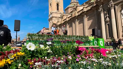 Hola-Primavera-8