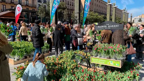 Hola-Primavera-9