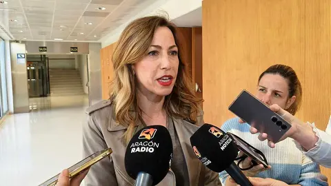 natalia-chueca-proyectos-ciudada-zaragoza-romareda-huerva
