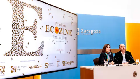 ecozine