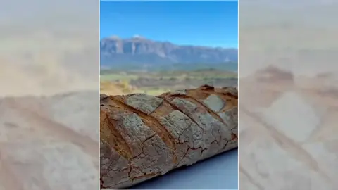 pan-michelin-callizo