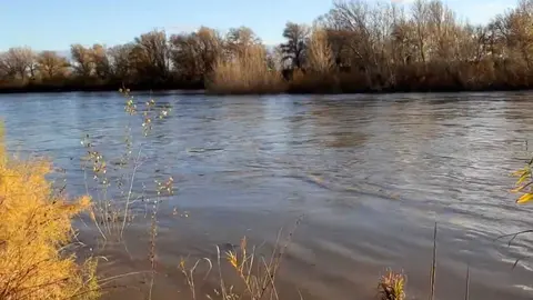 El cuerpo se ha encontrado en la desembocadura del r&iacute;o G&aacute;llego con el Ebro