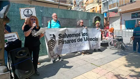 Pinares-de-Venecia