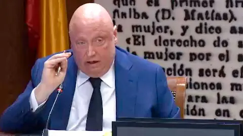 El expresidente de Forestalia, Fernando Samper, durante su &uacute;ltima comparecencia en la Comisi&oacute;n de Investigaci&oacute;n del Senado. Foto: Senado de Espa&ntilde;a