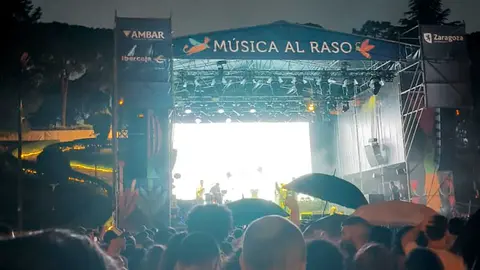 m&uacute;sica-raso-zaragoza-jardin-invierno-conciertos