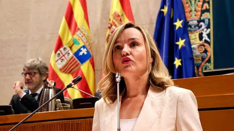 Pilar Alegr&iacute;a, en su intervenci&oacute;n durante el debate de investidura | Foto: Pilar &Aacute;lvarez