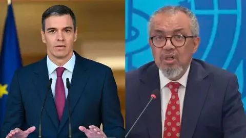 s&aacute;nchez y director de la OMS