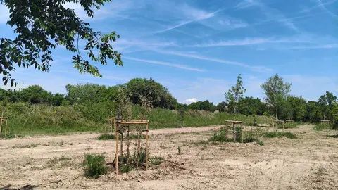 olmeda-torre-ramona-las-fuentes-zaragoza-parque