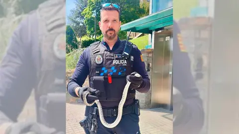 La Polic&iacute;a Local de Jaca ha rescatado a una culebra de escalera en un ascensor municipal.