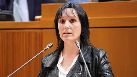 La diputada socialista, Lorena canales, ha exigido el cese del director de Pol&iacute;tica Educativa por haber hecho "apolog&iacute;a a la violencia de g&eacute;nero" en el pasado y no pedir perd&oacute;n  | Foto: PSOE