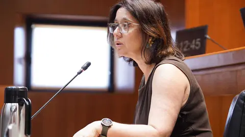 La consejera de Econom&iacute;a, Competitividad y Empleo, Eva Valle, en la Comisi&oacute;n este viernes. Foto: Cortes de Arag&oacute;n