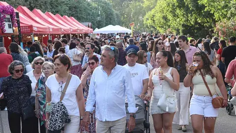zaragoza-florece-4