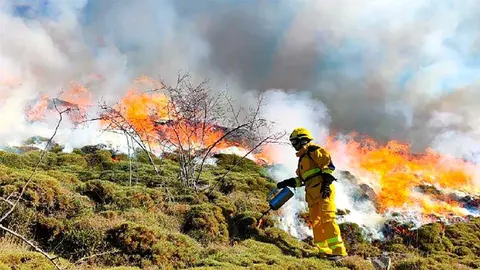 La campa&ntilde;a de prevenci&oacute;n y extinci&oacute;n de incendios forestales de 2026 contar&aacute; con un despliegue diario de 627 profesionales y una inversi&oacute;n que supera los 54,8 millones de euros.