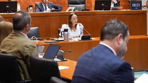 La consejera Sus&iacute;n ha comparecido este lunes por primera vez en la comisi&oacute;n de Educaci&oacute;n, Ciencia y UniversidadesCortes de Arag&oacute;n