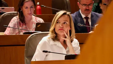 Pilar Alegr&iacute;a este jueves en el Pleno de las Cortes. Foto: Pilar &Aacute;lvarez