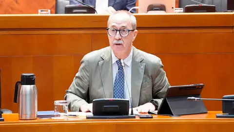 Miguel &Aacute;ngel Clavero, director general de Emergencias, este lunes en las Cortes. Foto: Cortes de Arag&oacute;n