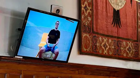 Sergio Domingo Elvira, condenado en marzo por asesinato, ha asistido a la vista de este martes en el TSJA por videoconferencia desde la c&aacute;rcel.