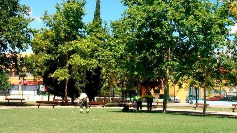 Jardineros de Zaragoza trabajando en un parque de la ciudad