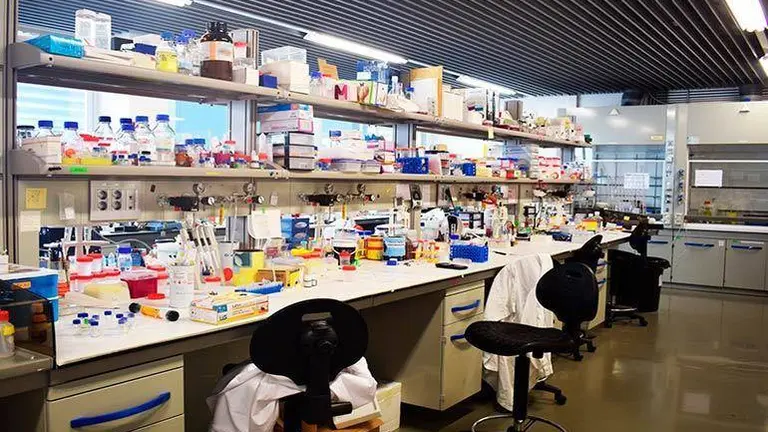 Las tecnolog&iacute;as PET y Tomograf&iacute;a Computarizada detectan la diseminaci&oacute;n del c&aacute;ncer de pr&oacute;stata con una precisi&oacute;n del 92%