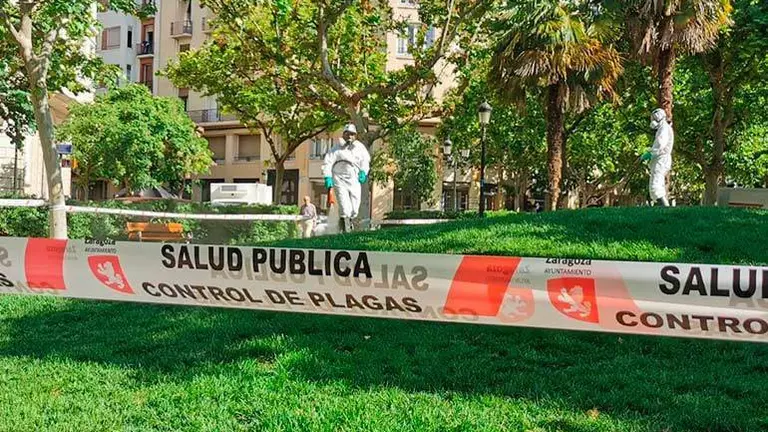 Todos los puntos ser&aacute;n acotados y debidamente se&ntilde;alizados