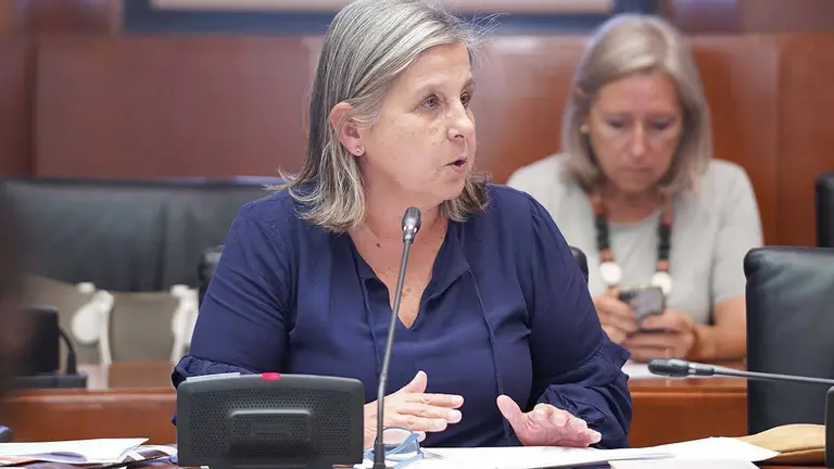 La parlamentaria Beatriz Garc&iacute;a particip&oacute; en la comisi&oacute;n de este lunes donde se trat&oacute; la norma