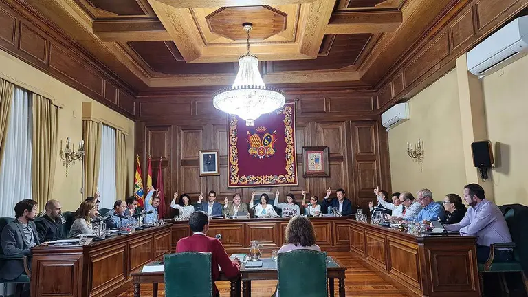 El pleno extraordinario se ha celebrado este viernes